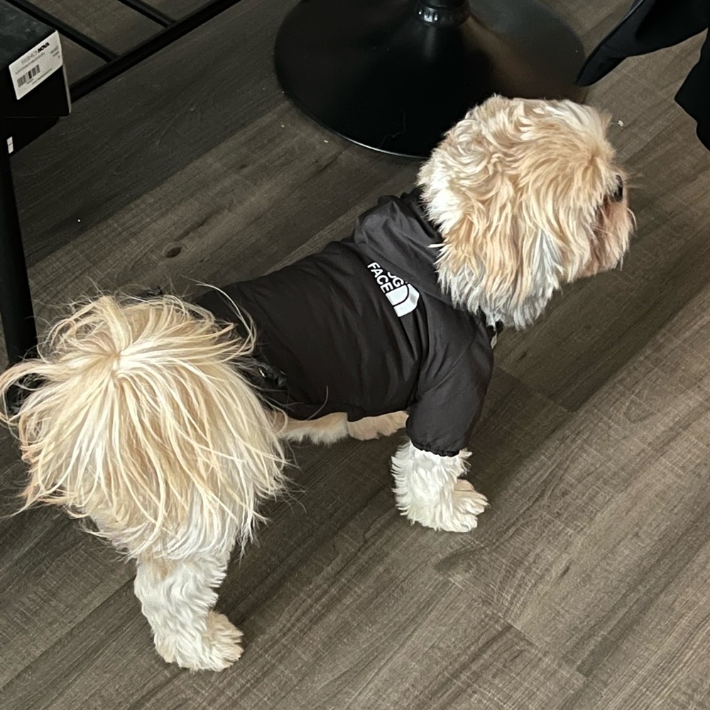 The dog face rain coat for pups